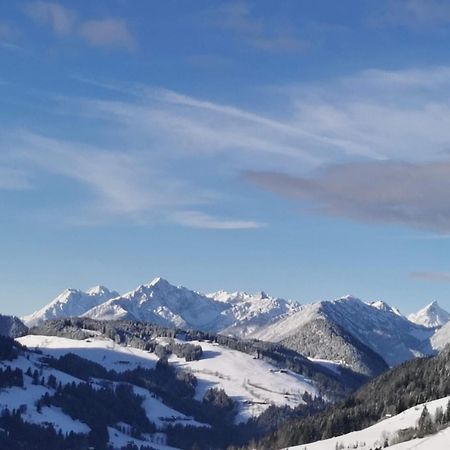 Alpbachblick Apartment Bagian luar foto