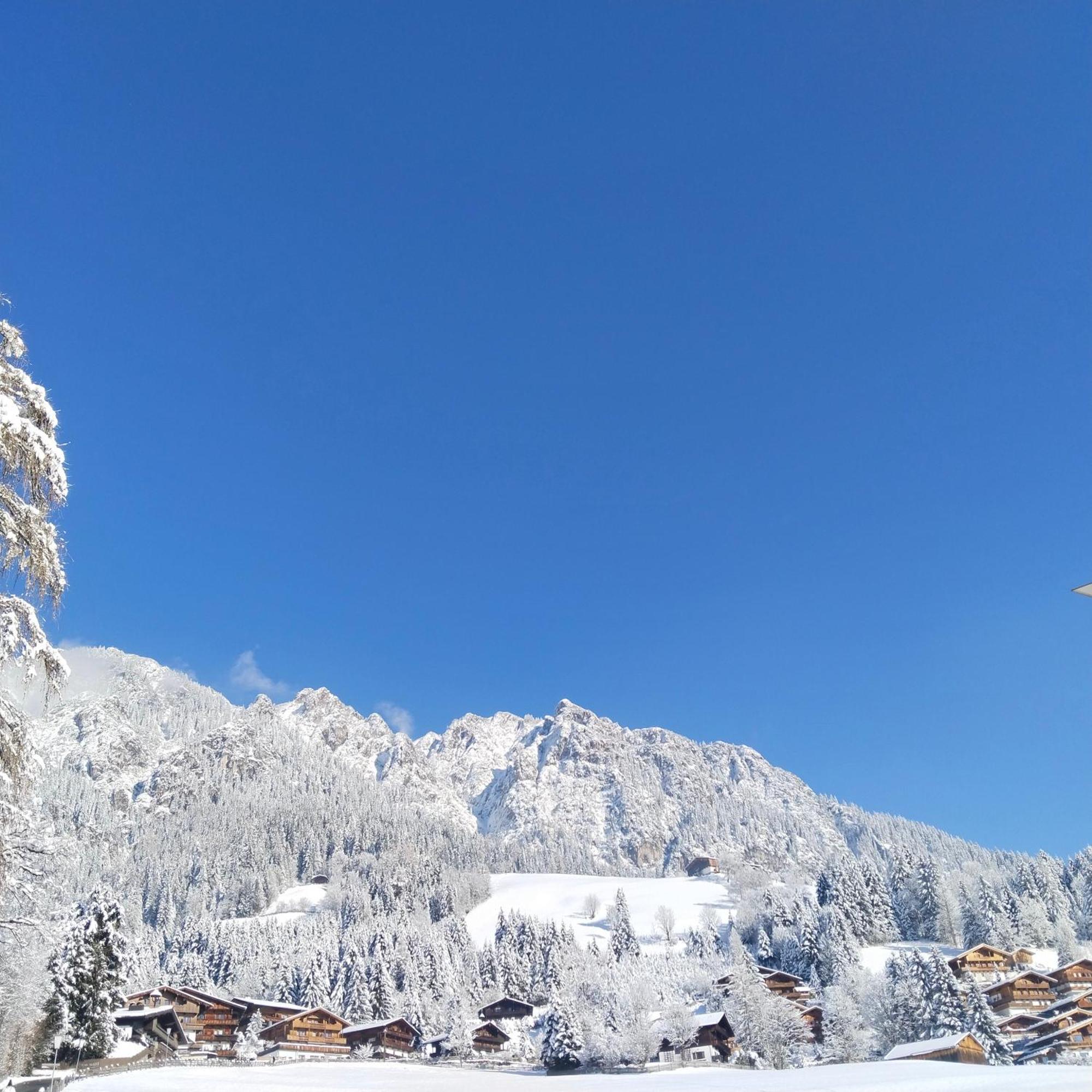Alpbachblick Apartment Bagian luar foto