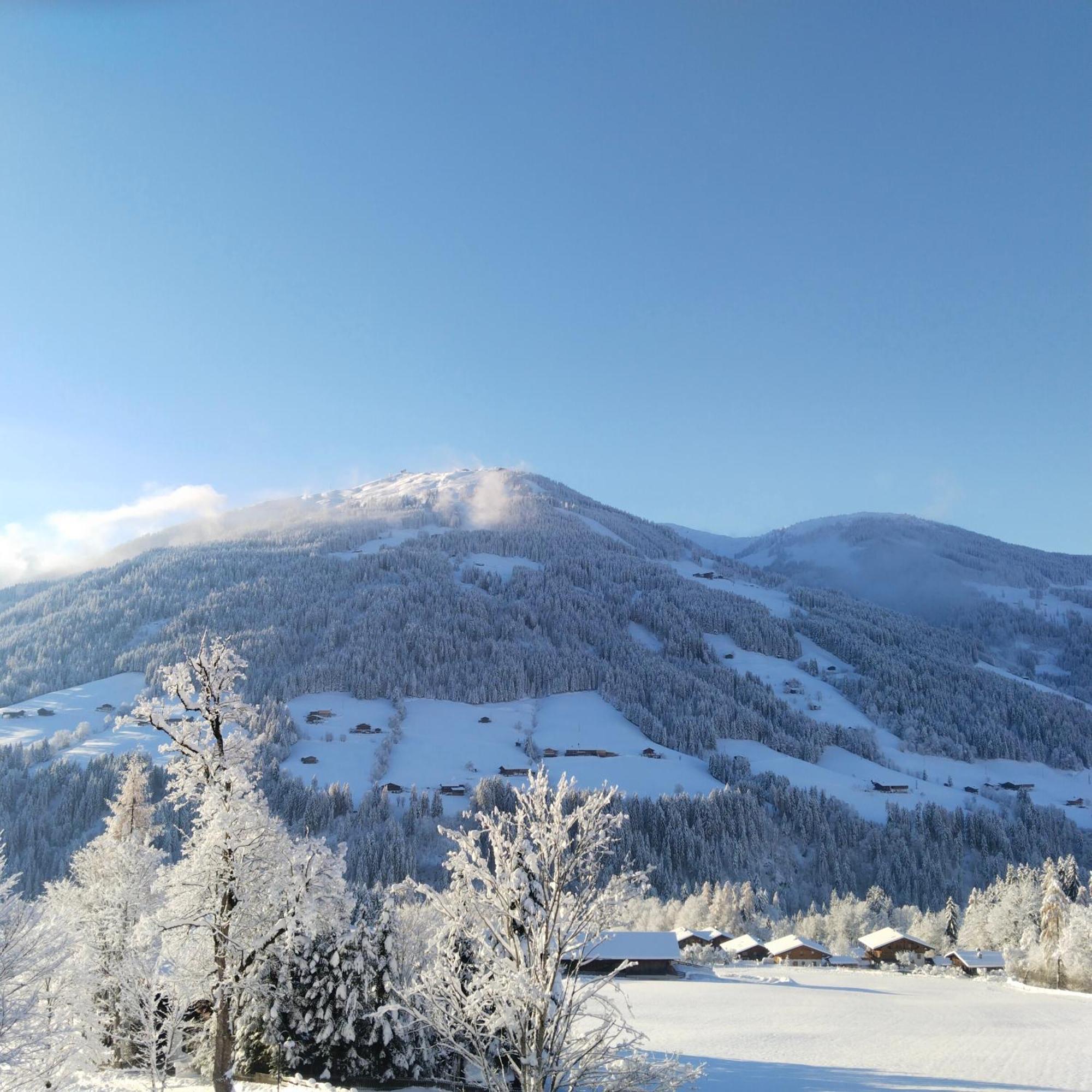 Alpbachblick Apartment Bagian luar foto
