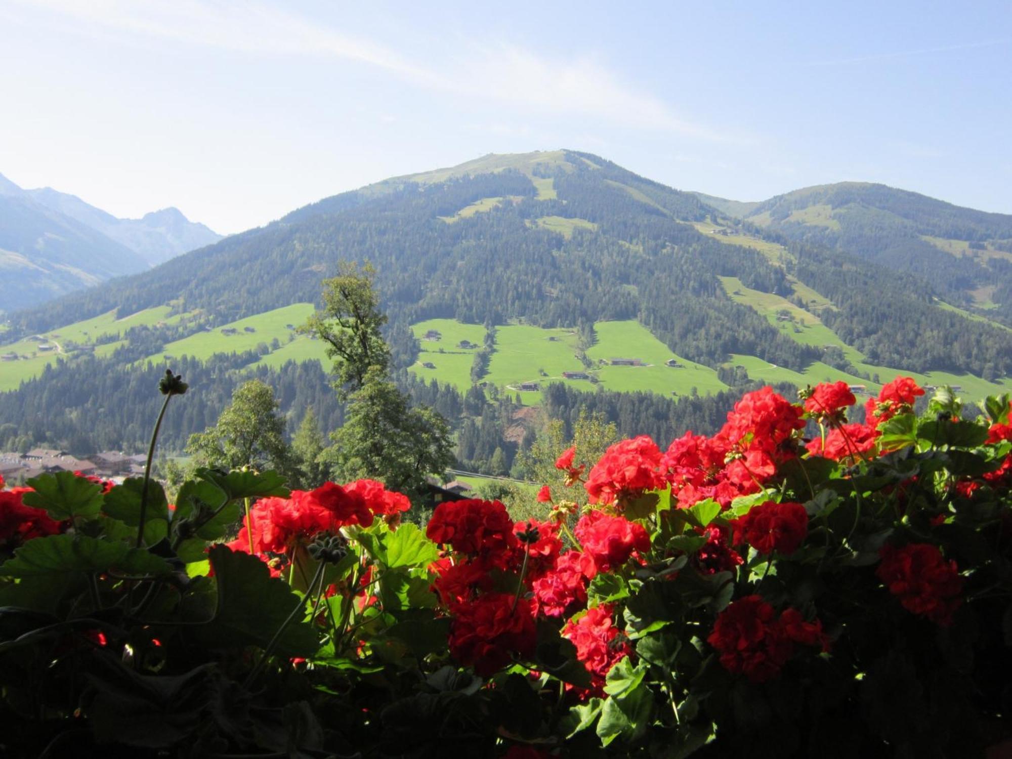 Alpbachblick Apartment Bagian luar foto