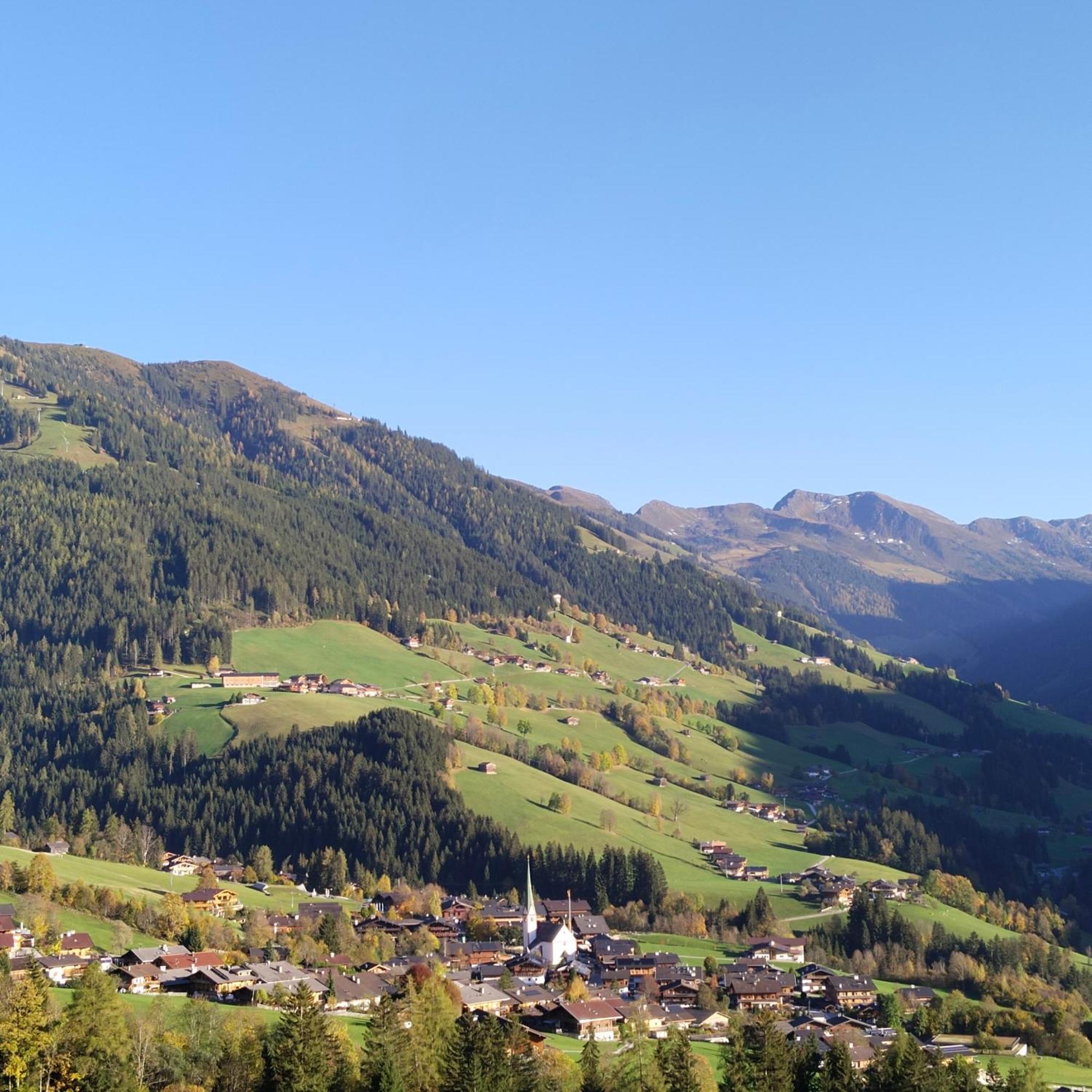 Alpbachblick Apartment Bagian luar foto