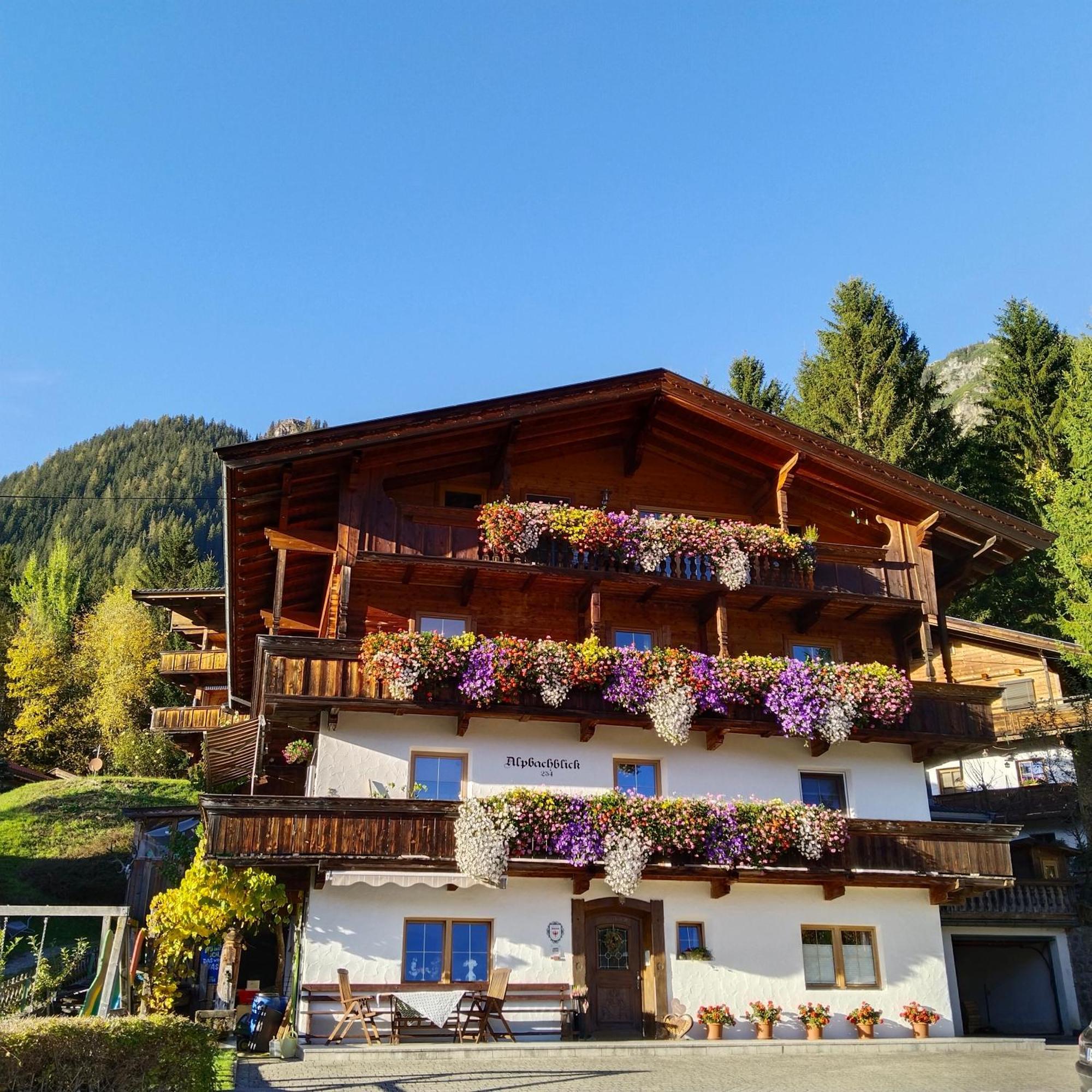 Alpbachblick Apartment Bagian luar foto