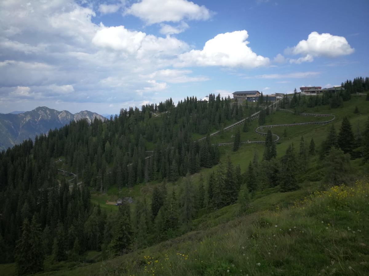 Alpbachblick Apartment Bagian luar foto